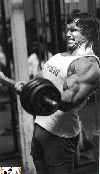 Arnold Schwarzenegger Net Worth